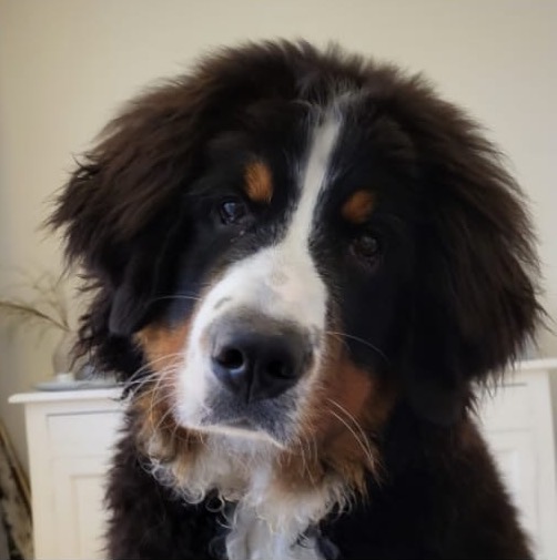 OSKAR